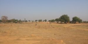 Greening the Barren Lands of Kanha